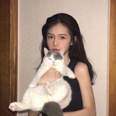 兵界之王破解版下载